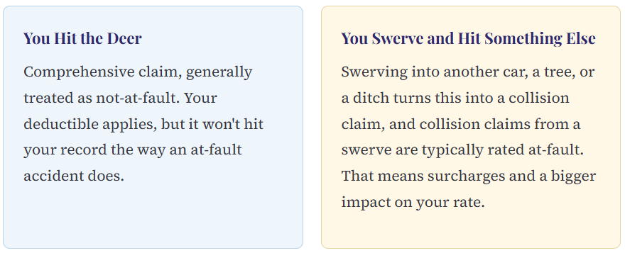 an explanation of hitting a deer versus swerving to miss it and how it affects your insurance claim